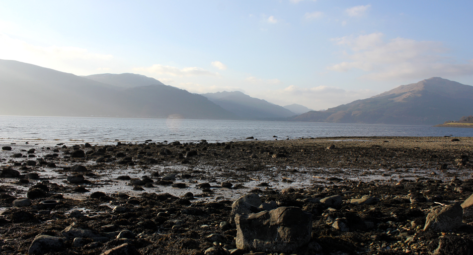 Cove_landscape2small